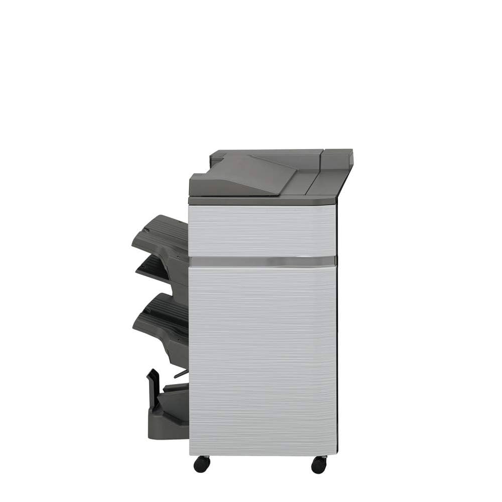 NEW 新品送込　Sharp Eye 5.4 Zipper 5フィン S3020 Sharpeye Zipper – Summer Sessions